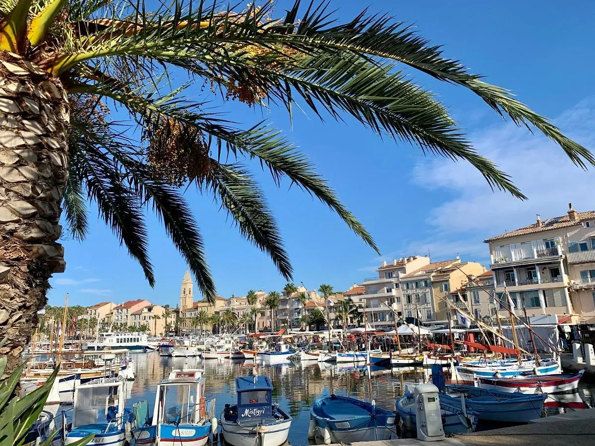 Portissol T1 Rdj Clim Parking Privatif 300M Plage ساناري سور مير ساناري سور مير